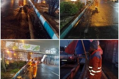 برگزاری دومین روز همایش سراسری بیمه آسیا و سازمان امور مالیاتی کشور