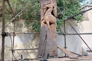 نقش آفرینی بر تنه درختان خشک باغ فردوس در آستانه غدیر