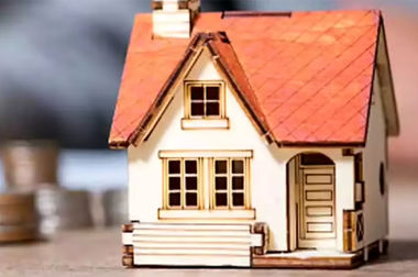 عرضه گوشت گرم گوساله وارداتی به زودی/  اعلام رسمی قیمت میوه و آجیل شب یلدا از روز پنج شنبه