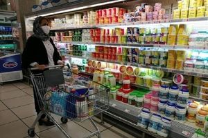 ماجرای گرانی قیمت لبنیات در بازار چیست؟/۸۰۰ کارخانه لبنی تعطیل شدند