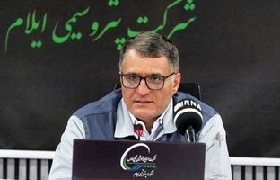 از اجحاف ۳۶ میلیون دلاری در حق پتروشیمی ایلام جلوگیری شود