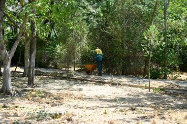 نصب سردر جدید  بازارچه زیرگذر میدان تجریش، با معماری سنتی