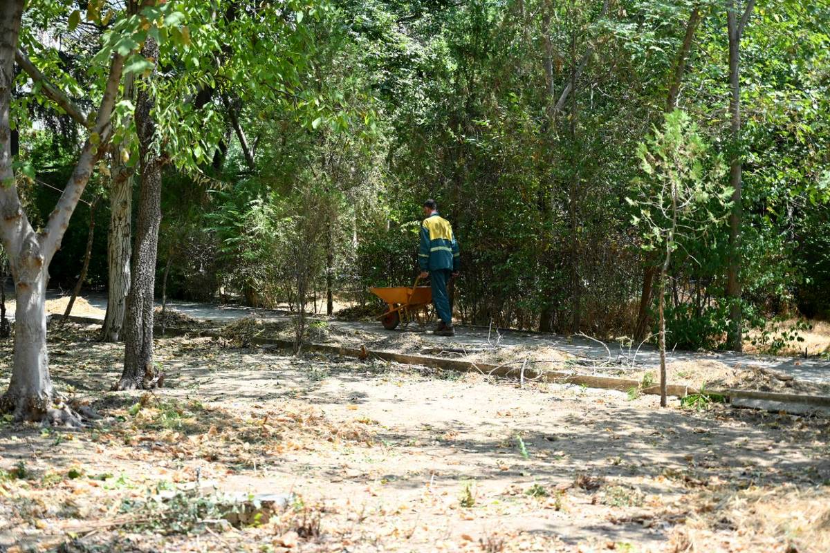 10 هزار مترمربع فضای سبز به بوستان های منطقه یک افزوده می شود