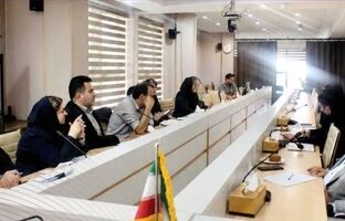 نشست هفتگی شورای هماهنگی مدیران فنی و فروش با محوریت بررسی چالش‌های صدور و خسارت