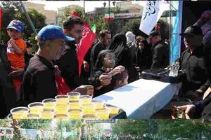 همراهی بیمه البرز با دلدادگان حسینی؛ برپایی موکب در مسیر جاماندگان اربعین