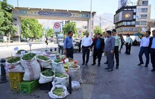 دور جدید مقابله با بساط گستران تجریش آغاز شد