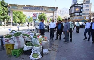 دور جدید مقابله با بساط گستران تجریش آغاز شد