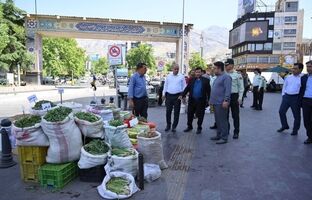 دور جدید مقابله با بساط گستران تجریش آغاز شد