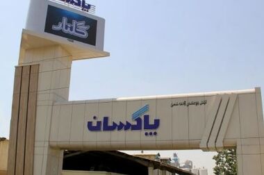 عرضه پودرهای نایلونی ۳ و ۵ کیلویی «برف» و «سپید» ویژه بازار داخلی آغاز شد