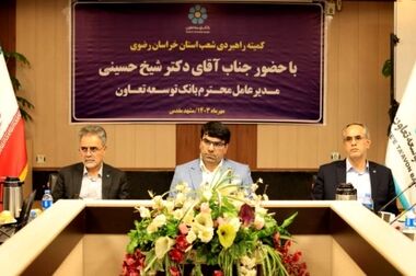 شیخ حسینی: راهبرد بانک توسعه تعاون در نیمه دوم سال افزایش سهم بازار است