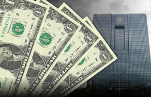 تخصیص ارز طبق سهمیه قانونی تامین شده است