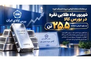 شهریور، ماه طلایی نقره در بورس کالا/ ثبت رکورد تاریخی با معامله ۲۵.۵ تن