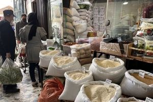 قیمت برنج کاهشی شد/بازار برنج به زودی متعادل می شود