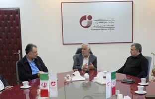 دیدار نمایندگان مجلس شورای اسلامی با معاون وزیر صمت و رئیس سازمان زمین‌شناسی و اکتشافات معدنی