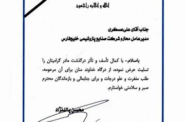 آغاز عرضه ارز پتروشیمی‌ها در سامانه ارز تجاری از هفته آینده