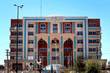 جامعه کارگری باید در ساماندهی مشاغل سخت و زیان آور پیشگام باشد