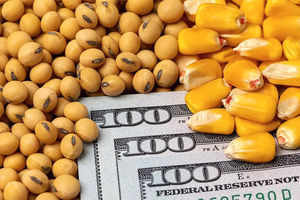 روند تامین ارز کالاهای اساسی و دارو طبق قانون بودجه 1404 ادامه دارد