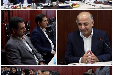 نمایندگان، پیشران رشد پایدار در بیمه دی