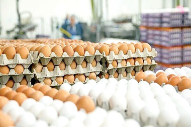 فروشگاه‌ها تا پایان هفته مملو از کالا‌های اساسی می‌شوند/ مردم برای خرید عجله نکنند