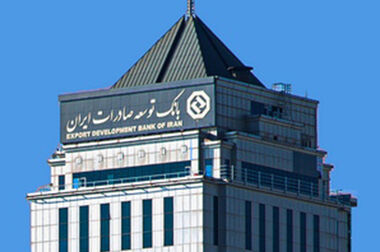 حمایت بانک توسعه صادرات ایران از تولیدکنندگان در سال سرمایه گذاری برای تولید