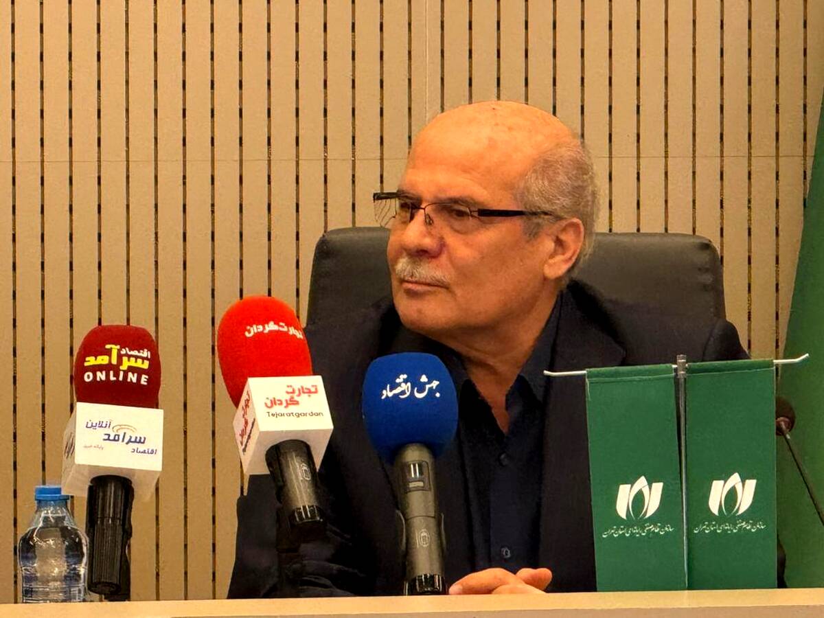 بدون اینترنت پایدار، اقتصاد دیجیتال به هدف ۱۵ درصدی نمی‌رسد