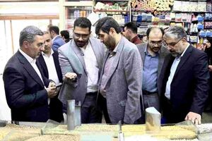 زنجیره ارزان‌سازی سبد خانوار با «طرح تورم صفر» توسعه می‌یابد