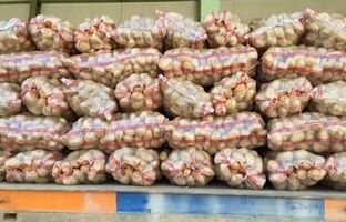 افزایش مصرف داخلی، صادرات سیب‌زمینی را تا پایان سال متوقف کرد