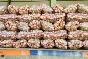 افزایش مصرف داخلی، صادرات سیب‌زمینی را تا پایان سال متوقف کرد