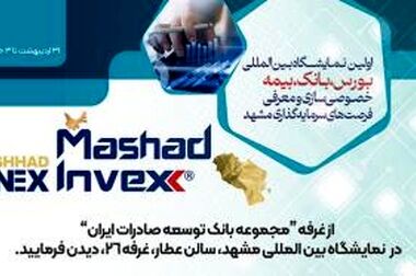 حمایت از صنایع تولیدی برنامه محوری بانک توسعه صادرات ایران