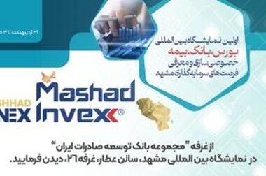 بانک توسعه صادرات ایران حامی تولیدکنندگان بزرگ با تأمین مالی هدفمند