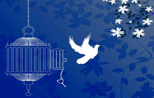 آزادی تمامی مادران زندانی جرائم مالی غیرعمد تا سقف 250 میلیون تومان به همت بانک پارسیان