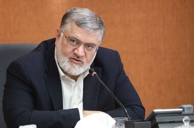 حدود ۸۰ درصد گرانی کالاهای اساسی ناشی از حذف ارز ترجیحی است/ مافیای نهاده‌های دامی دوباره وارد عمل شده‌اند