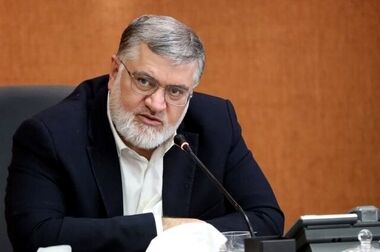 حدود ۸۰ درصد گرانی کالاهای اساسی ناشی از حذف ارز ترجیحی است/ مافیای نهاده‌های دامی دوباره وارد عمل شده‌اند