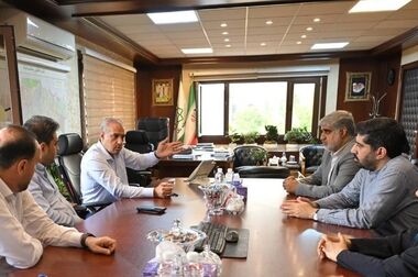 المان نوری ماهی های رنگی بر درختان خیابان عمار نصب شد