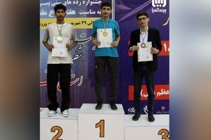 قهرمان شطرنج کشور در خانواده بزرگ بیمه آسیا