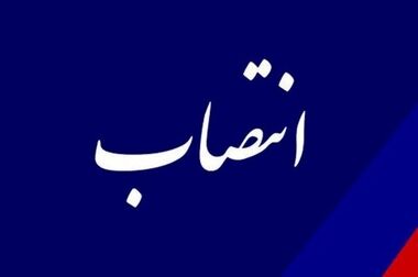 مشوق‌های مالیاتی، شرکت‌های دانش‌بنیان را موتور محرکه نوآوری در صنعت پتروشیمی می‌کند