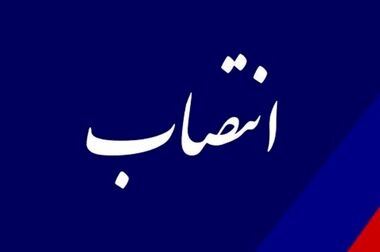 همایش پتروفن ۱۴۰۳ می‌تواند به رفع ناترازی و استفاده از الگوهای جهانی برای بهبود صنعت پتروشیمی کمک کند