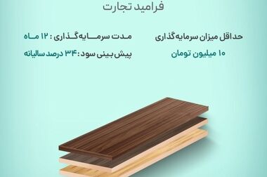 آغاز پویش تامین مالی جمعی شرکت «گلرنگ فرش بیدگل»