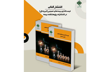 کارگاه آموزشی «چارچوب‌های بین‌المللی ارزیابی ریسک در پروژه‌های فراساحلی در حال ساخت و نصب»