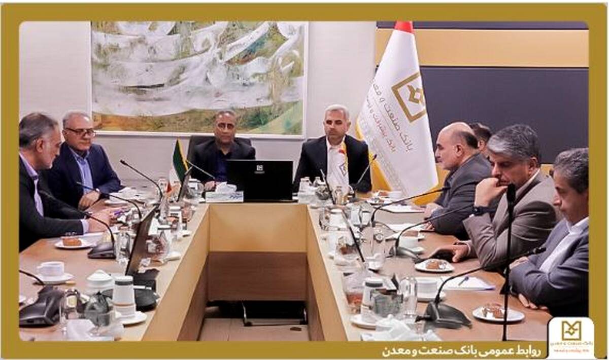 دکتر شایان: مدل کسب و کار بانک صنعت و معدن تغییر می کند