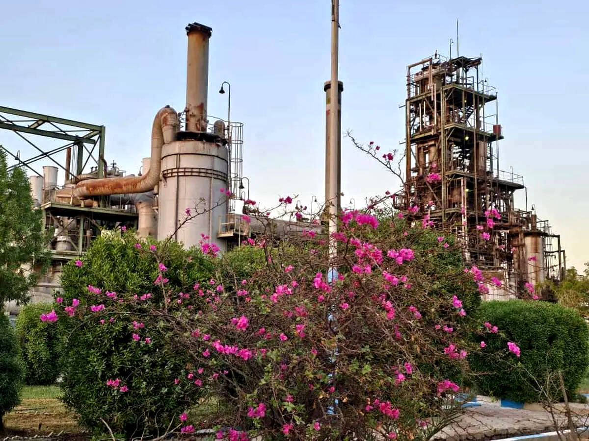 پتروشیمی فارابی با جهش فروش ماهانه بیش از دو برابری و ثبت فروش ماهانه ۴۵۰۰ تنی، رکورد شکنی کرد
