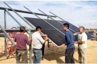 خبر خوب| آغاز اولین برداشت محصول گردو از باغات ۲۳۵۰ هکتاری شرکت آریا دشت در منطقه آزاد ماکو