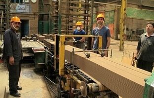 سرکوب دستمزد در صنایع موجب افزایش مشاغل غیررسمی شد