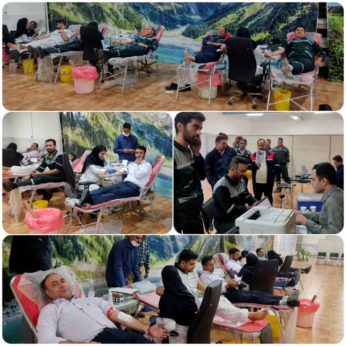 اهدای ۷۵ واحد خون توسط کارکنان شرکت فولاد آلیاژی ایران به مناسبت هفته بسیج