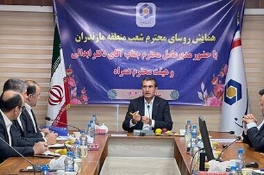 افزایش سهم بازار بانک سینا در سال جاری