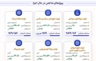  پیشبرد طرح‌ها و برنامه‌های نیمه‌تمام؛ گامی در مسیر توسعه صنعتی کشور