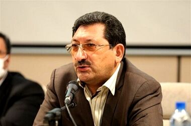 واردات خودرو تکانه ارزی دارد/ با یک توئیت مشکلات حل نمی‌شود