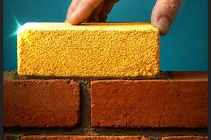 بیمه دی در مسیر صعودی صنعت بیمه؛ تثبیت رتبه نخست غیردولتی‌ها با تحول دیجیتال، خرده‌فروشی و توانگری سطح یک / رونمایی از جشنواره فروش «دی تا دی»