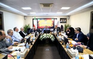 موافقت اعضای کمیسیون حمایت از تولید با فعالیت سازمان‌های توسعه‌ای طبق اساسنامه