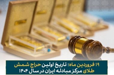  سخنگوی مرکز مبادله ایران: تامین ارز سال ۱۴۰۴ به ۶۹۵ میلیون دلار رسید/ صنایع در رتبه نخست دریافت ارز